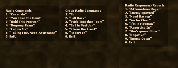 Radio commands menu in Counter-Strike: Source