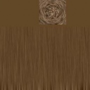 The texture for the fence post