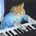 Cat-piano2.gif