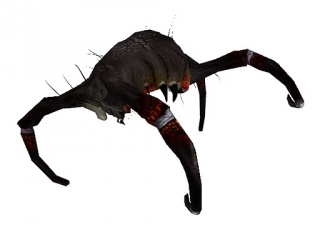 Black headcrab - click to enlarge