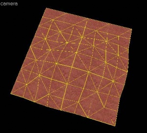 Displacement surface before clipping operation.