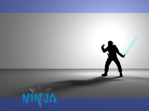 Ninja Model