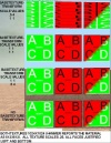 Blend Test by 