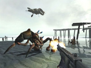 The shotgun in the picture is a typical viewmodel.