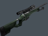 Arctic Warfare Magnum