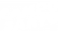 Logo of Campo Santo.