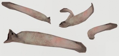 The fry of leeches that is spawned inside a trigger_waterydeath.
