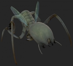 Antlion worker, available in Episode Two. Use the Worker Type flag to spawn.