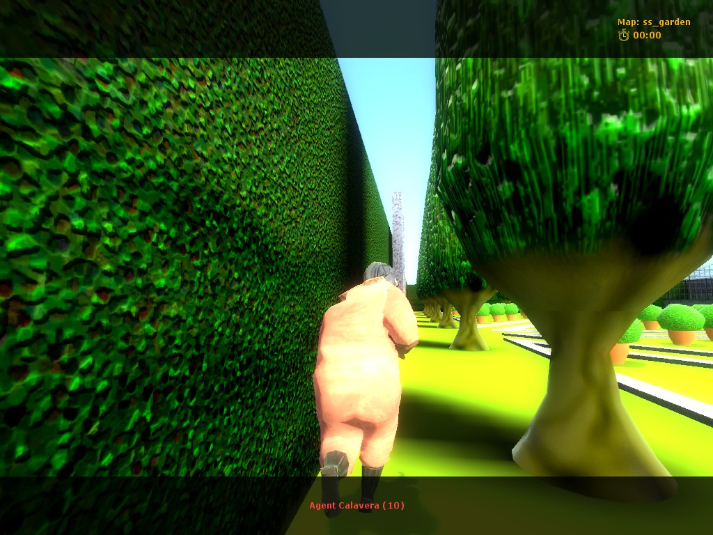 Ss garden0019.jpg