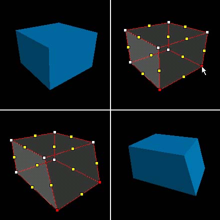 What Are Vertices