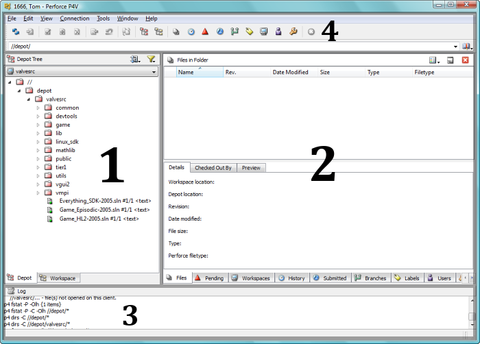 P4V interface overview