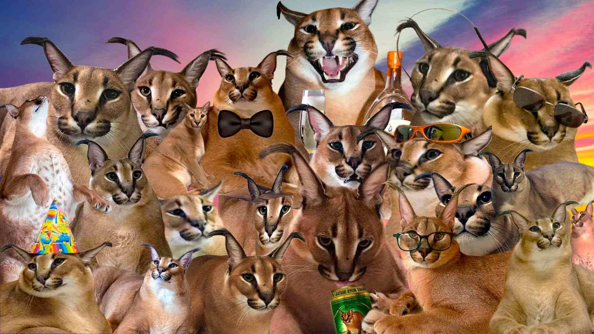 UserCover-Floppicus.jpg