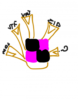 Source Material Fetcher.png