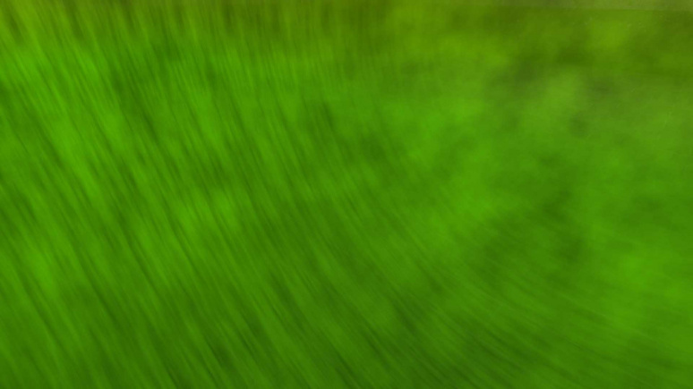 noise1Tiling - 1 10 1.