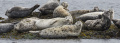 Thumbnail for version as of 08:21, 30 July 2023
