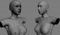 Thumbnail for version as of 05:41, 9 November 2008