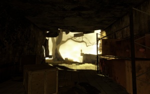 Asylum dream: Walking out onto the lawn