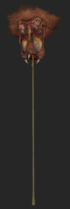 npc_barnacle - Valve Developer Community