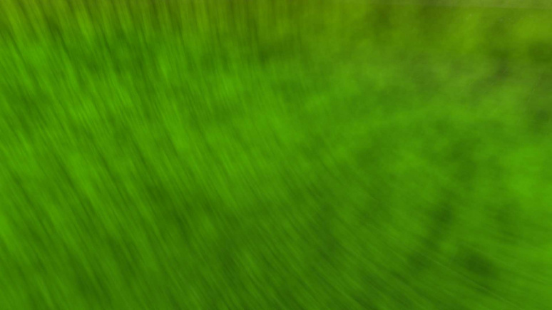 noise2Tiling - 1 10 1.