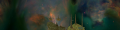 Thumbnail for version as of 18:07, 22 April 2022