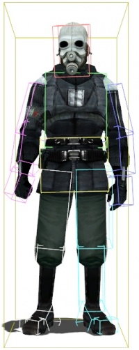The bounding box, and hitboxes, of npc_metropolice.