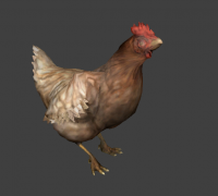 Chicken Valve Developer Community