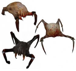 HeadcrabCollection.jpg