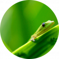 Thumbnail for version as of 16:14, 15 November 2023