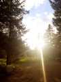 Thumbnail for version as of 18:06, 15 November 2023