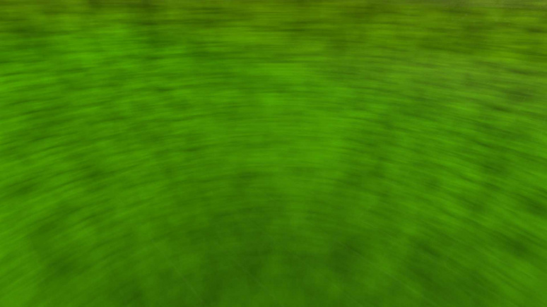 noise2Tiling - 1 1 10.