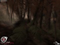 Thumbnail for version as of 02:17, 30 June 2006
