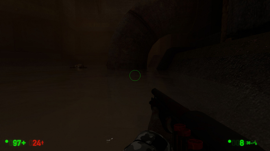 Players camera hit the water.