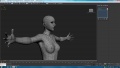 Thumbnail for version as of 01:06, 22 February 2009