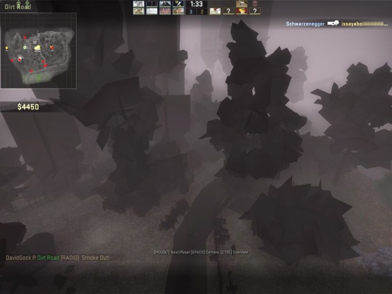File:Bugged trees in csgo .jpg
