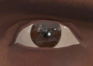 Eyeball - Valve Developer Community