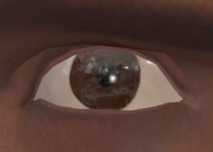 https://developer.valvesoftware.com/w/images/thumb/e/e9/Eye_demoman.jpg/300px-Eye_demoman.jpg