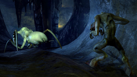 Antlioncaves.jpg